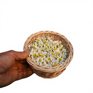 Flores de Manzanilla Alemanas Secas de Alta Calidad, en Bolsitas, con Menos Fragmentos de Flor, Cultivo Orgánico, Grado Superior, Venta al Por Mayor, Marca Privada - Product Image 1