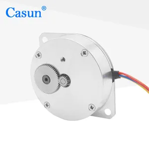 Động Cơ Bước Phẳng Casun Chất Lượng Tốt Động Cơ Bước Bánh Kếp 2.5V 50mN. M Cho Máy SMT Với ROHS