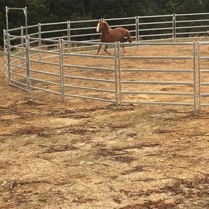 Pannello per bestiame recinto per cavalli, - Product Image 2