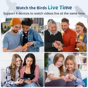 Hd Camera Zonne-Energie En Weerbestendige Behuizing Ai-Technologie Met Nachtzicht Outdoor Slimme Vogelvoeder - Product Image 6