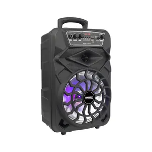 T LED Party Light Portable Wireless Speaker 8 Inch Horn Big TWS Rechargeable Trolley Speaker With Remote Control