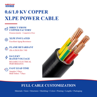 Câble d'alimentation MiNZAN 0,6/1 kV isolé XLPE 1, 2, 3, 4 conducteurs 2,5 mm² 4 mm² 6 mm² 10 mm² 16 mm² 400 mm² N2XY NA2XY YJV 4x25 1x16 mm² Triphasé