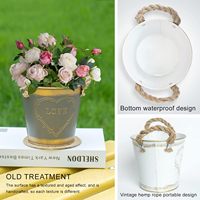 Petit récipient métallique rustique antique, pot coloré pour plantes succulentes et cactus avec poignées en ficelle, décoration de table, jardin, maison