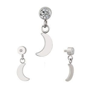 Fábrica Titanio Pendiente Piercing Cuerpo Joyería Roscado Interno Helix Labret Top Con Cuelga - Product Image 2