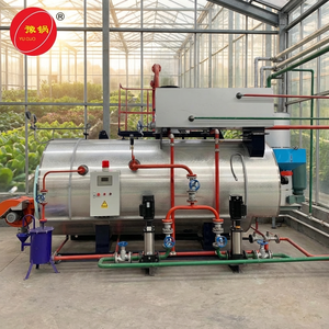 <span class=keywords><strong>Caldera</strong></span> <span class=keywords><strong>de</strong></span> Vapor Industrial <span class=keywords><strong>de</strong></span> Alta Precisión, Serie WNS, <span class=keywords><strong>de</strong></span> Diésel, 200 kg/h, para Calentamiento <span class=keywords><strong>de</strong></span> Tanques, Calidad Premium - Product Image 6