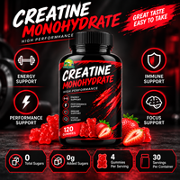 Créatine monohydrate en poudre, gommes à la créatine, vitamine 12, L-taurine, complément alimentaire pour le soutien de l'entraînement, logo personnalisé OEM