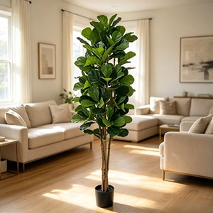 Wholesale prices for Ficus pandurata with real wooden poles. Direct from the factory. Durable and evergreen - Product Image 5