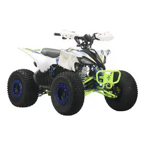 125cc 110cc 200cc 250cc 400cc 500cc 800cc 800cc 4x4 atv Doppel-Allrad-Allrad-Allrad-Strand buggy Mountain ATV