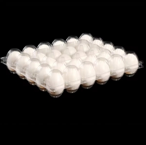 מפעל מותאם אישית 12 רשת ביצים מגש שטוחים PET שלפוחית מזון תיבת אריזת מזון מגשי ביצים מפלסטיק עבור 30 ביצים - Product Image 2