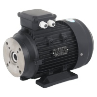 Moteur à arbre creux de qualité industrielle de 15kW pour nettoyeurs haute pression