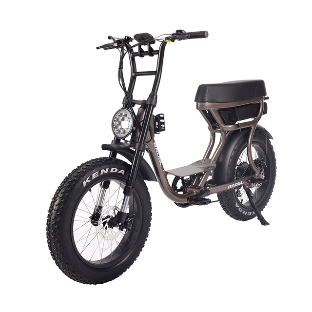 Hot Sell High Power Fatbike Ebike Full Suspension 29 Inch 20Ah Fatbike