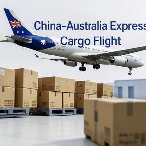 배송 대행 바다화물 운송업자 배달 중국에서 호주로 가져 오기 뉴질랜드 Ddp 도어 투도어 Fba 선적 서비스 - Product Image 3