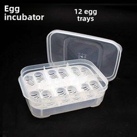 Boîte d'incubation rectangulaire en plastique pour œufs de tortue, incubateur pour œufs de lézard, reptile, poussins, lézard cornu, dragon barbu, thermomètre