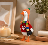 Ensemble de vêtements tricotés pour mini-oie de dessin animé de 7 pouces, adorable costume de décoration pour mini-oie de 17 cm avec chapeau et écharpe tricotés