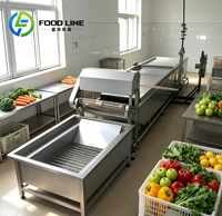 Fruitblancheringsmachine, hete waterblancheringsmachine, machine voor barbecueroergebakken aardappelen