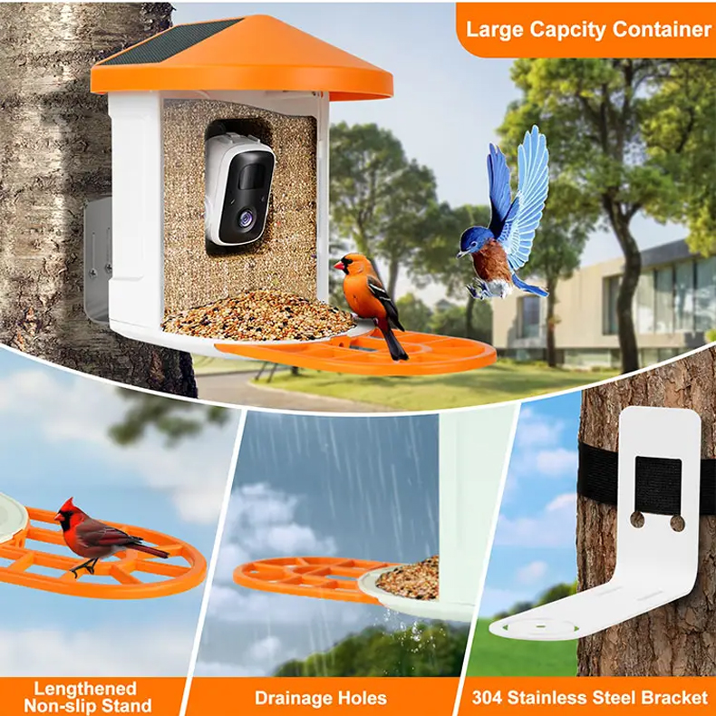 bird feeder camera 4k