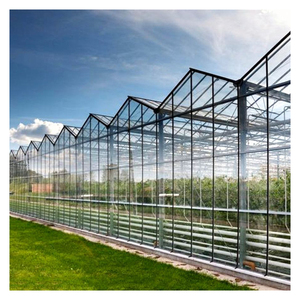 Grande <span class=keywords><strong>serre</strong></span> de style victorien multi-voûtes, résistante au vent, isolée, en <span class=keywords><strong>verre</strong></span> <span class=keywords><strong>trempé</strong></span>, avec doubles portes coulissantes - Product Image 2