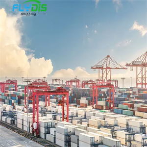 Servicio Profesional Rápido Puerta a Puerta DDP DDU Agente Logístico Transporte Aéreo y Marítimo Transitario Envío Entrega a EE. UU. Envío desde China - Product Image 5