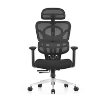 Chaise de bureau ergonomique entièrement en mesh, réglable en hauteur, avec support lombaire, accoudoirs 3D, siège en mousse haute densité, pivotante pour le bureau