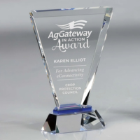 Plaque de trophée en cristal transparent de haute qualité, personnalisée en usine, pour cadeau d'affaires, décoration créative