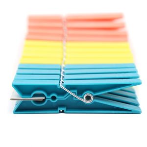 Hot Sale Strong 12 Pcs Eco-Friendly Durable <b>Plastic</b> Clothes Pegs for Kitchen & Living Room Use - Product Image 3