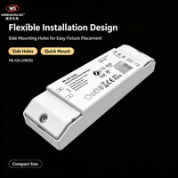 Driver LED à courant constant CCT Zigbee 10-42VDC 2CH*(150-450mA) 12W PB-12A-2(WZS)