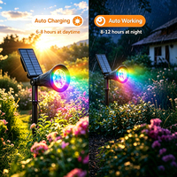 Service OEM ODM, projecteurs solaires avec une durée de vie de 50000 heures, batterie Li-ion, garantie de 2 ans, directement de l'usine