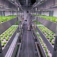 Système de culture hydroponique commercial intelligent pour micro-légumes d'intérieur, conteneur de culture, serre, structure en acier Corten résistant