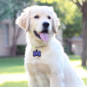OKSILICONE Silicone <strong>Pet</strong> Tags Wholesale <strong>Pet</strong> Name Tags Customized <strong>Blank</strong> Name Silicone Dogs Tags - Product Image 6