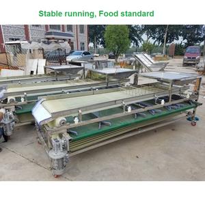 Machine à limer la taille de l'ail, pour trier les pommes de terre, les tomates, les jujpes, 2020 - Product Image 5