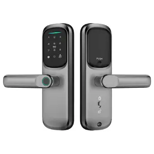 Oem Slot Fabriek Elektronische 9 Talen Stem Tuya App Biometrische Handgreep Smart Lock Deur Ttlock Vingerafdruk Ultra Smart Lock
