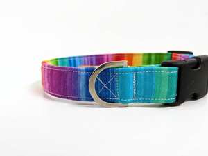 ปลอกคอสุนัขลายรุ้งสีสันสดใสสำหรับ LGBTQ+ - Product Image 5