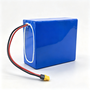 แบตเตอรี่ลิเธียมไอออนแบบชาร์จได้ รุ่นสั่งทำพิเศษ 11.1V 12v 14.8V 24v 25.9V 29.6V 36v 48v 10ah 20ah 30ah 60ah 100ah Li-ion Lifepo4 - Product Image 5