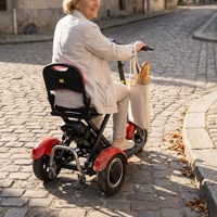 Tricycles électriques compacts et robustes pour adultes avec plateforme basse pour les visites de boulangeries en zone rurale