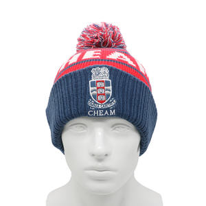 Gorro de Punto Acrílico 100% de Buena Calidad con Logotipo Bordado Personalizado, Gorros con Pompón, Cálidos, Transpirables y de Alta Elasticidad - Product Image 1