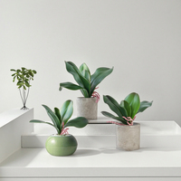 Daun Anggrek Buatan Sentuhan Asli Hijau, Batang Phalaenopsis Buatan, Daun Cymbidium Palsu untuk Dekorasi Rumah