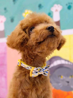 2025 nouveau chaud détachable Multiple impression colorée chat de compagnie chien noeud papillon accessoires petit moyen grand chien chat