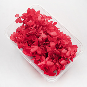 5g colorati veri secchi favolosi petali di ortensie conservati per il matrimonio - Product Image 3
