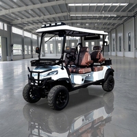 Voiture de golf électrique 4 places 60V certifiée CE, capacité de montée de 25 degrés, buggy tout-terrain de luxe, direct usine, 30 km/h, véhicule de tourisme
