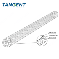 Membran Keramik Tubular Berkualitas Tinggi 2026, Membran Filtrasi UF Pilot Merek TFT 1000L/Jam, Garansi 2 Tahun, Produk Baru Laris Manis