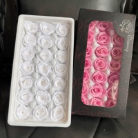 Bunga Mawar Abadi Naturecho 21Pcs, Bunga Kering Real Touch, Mawar Awet Kualitas A Bentuk Kotak, untuk Dekorasi Halloween dan Pernikahan