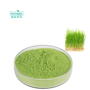 Pabrik grosir bubuk WheatGrass mentah bubuk jus rumput gandum organik hijau alami - Product Image 1