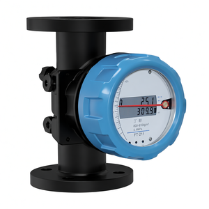 Débitmètre à flotteur en tube métallique FEF3000-6R0DN25M4C, vente directe d'usine - Product Image 6