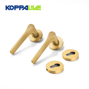 Koppalive Sang Trọng Hiện Đại Vàng Brass Cửa Locker Xử Lý Nội Thất Riêng Tư Cửa Đòn Bẩy Xử Lý Và Ổ Khóa Cho Thương Mại - Product Image 5