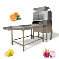 Peterselie Watermeloen Sap Koude Pers Extractor Commerciële Industriële Mango Juicer Fruitpulp Procesmachine