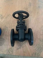 Vannes à opercule à bride, conformes aux normes allemandes et russes, électro-actuées, pour l'eau, taille de port 4 pouces, basse température Z45X