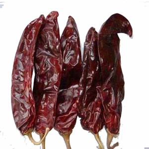 Pimentón Seco Naturalmente, Especia Única, Hierba de Color Intenso para Salsa de Chile Casera, Producto Agrícola - Product Image 1