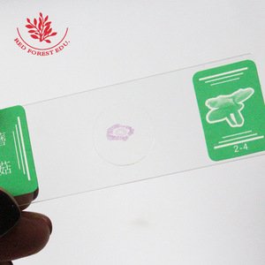Portaobjetos de microscopio, secciones de muestras biológicas, experimentos infantiles, observación educativa, portaobjetos de vegetales y plantas (5) - Product Image 4