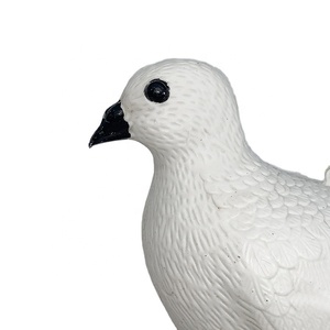 Vendita calda di alta qualità per la caccia al piccione esca di plastica per piccioni esche di plastica di plastica bianco esche per piccioni con palo per l'arredamento del giardino - Product Image 2