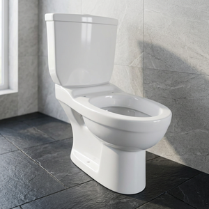 โถสุขภัณฑ์เซรามิกแบบสองชิ้น Aqua Pan ระบบ Washdown แบบ Dual Flush พร้อม P-Trap ต่ำ ติดตั้งบนพื้น - Product Image 1